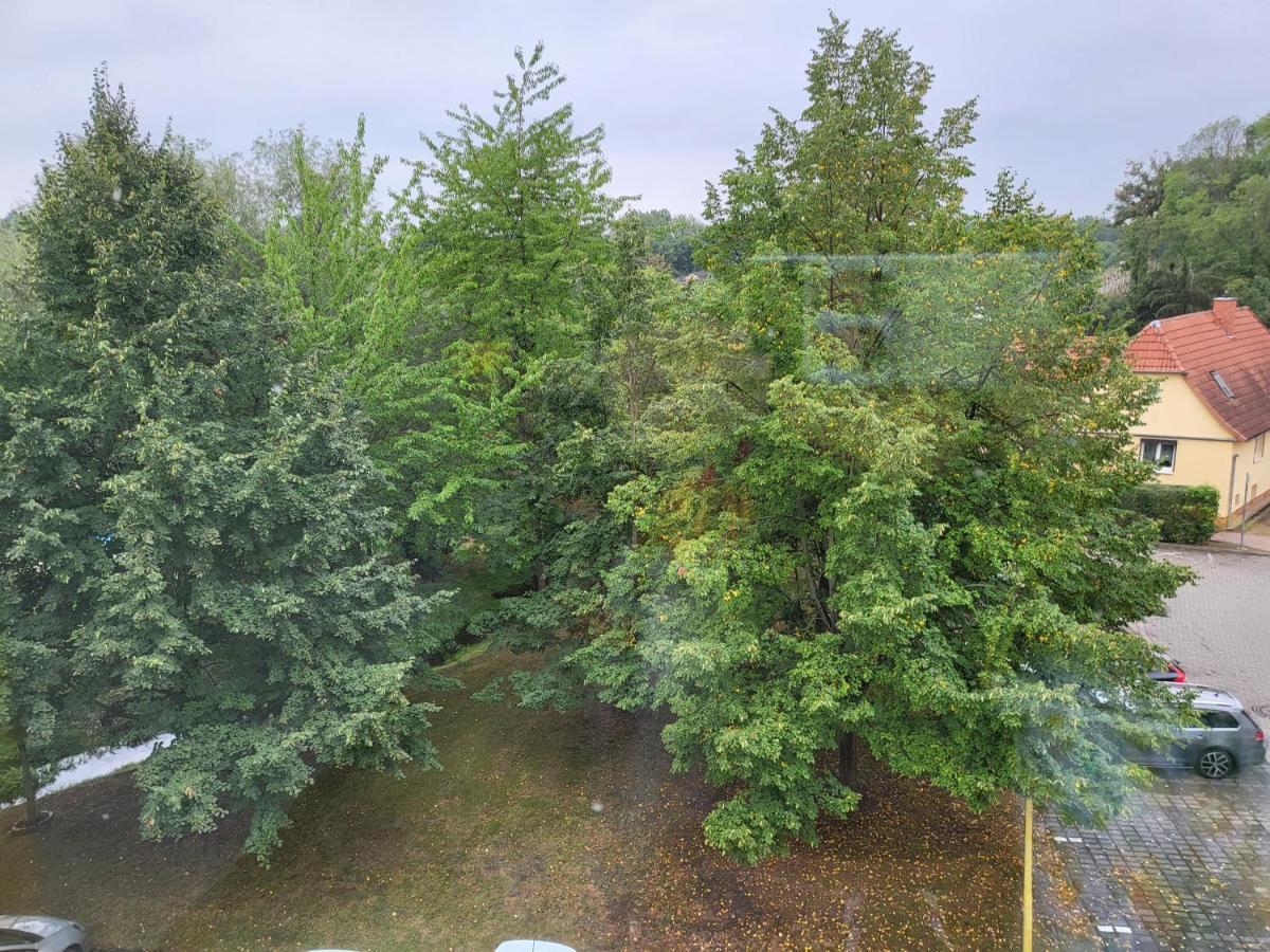 Exklusivwohnung Bad Duerrenberg Bad Dürrenberg Exterior foto